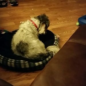 Meet your Posher, Terri