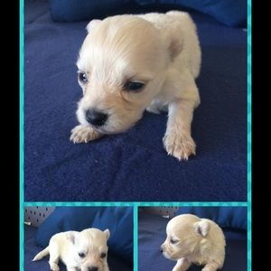 Meet your Posher, Maria