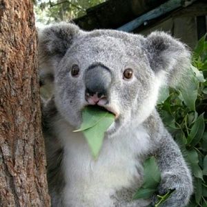 Meet your Posher, Brenda