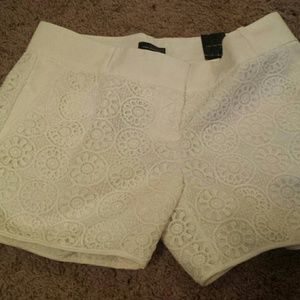 SALE ! NWT The limited shorts runs a size small