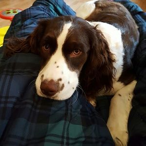 Meet your Posher, Denise