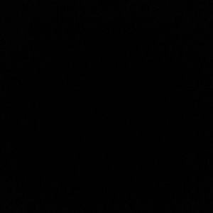 Meet your Posher, Kizzy