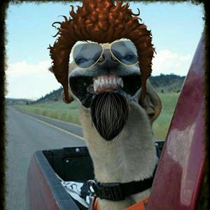 Meet your Posher, Cheree