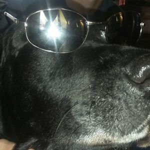 Meet your Posher, Judith