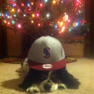 Meet your Posher, Ben