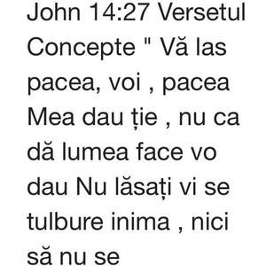 Meet your Posher, Stela