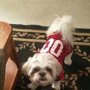 Meet your Posher, Archuleta