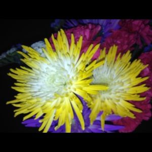 Meet your Posher, Adam