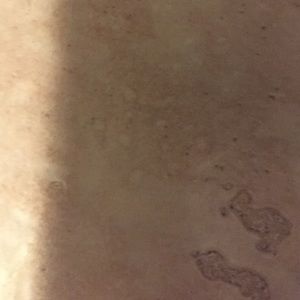 Meet your Posher, Peter