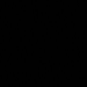 Meet your Posher, Joelle