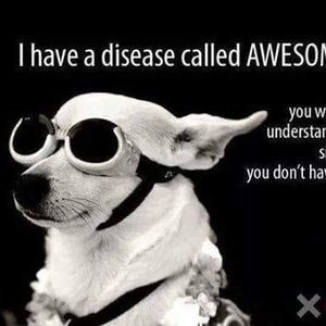 Meet your Posher, Ruby