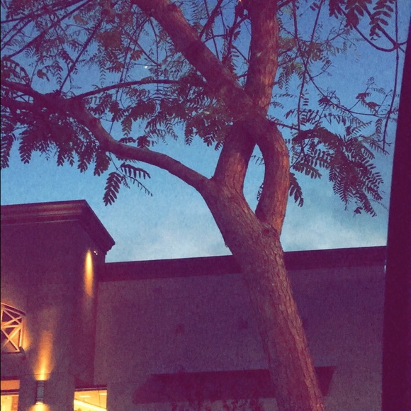 Meet your Posher, Momo