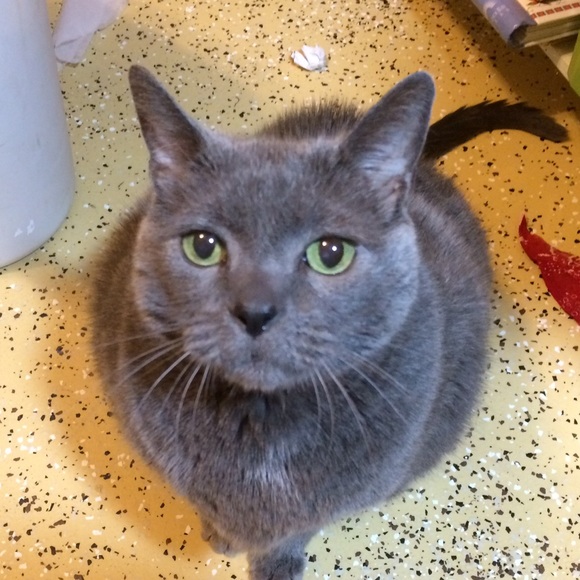 Meet your Posher, Ruth - Picture 2 of 2