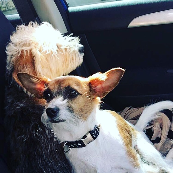 Everything Beyond This Point Is Sold! Thanks You! - Picture 2 of 7