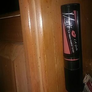 Matte L.A Girl Flat Finish Pigment Gloss