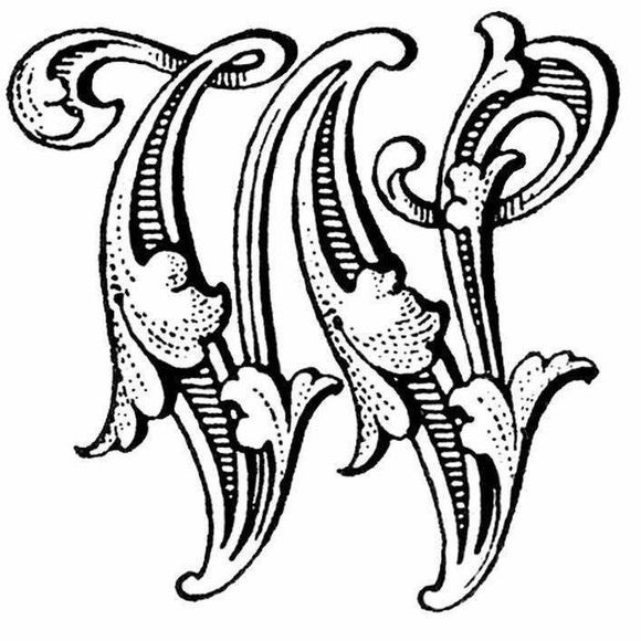 Meet your Posher, Ladonna - Picture 1 of 1