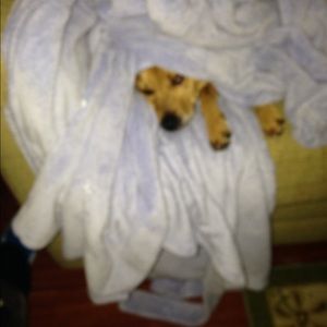 Meet your Posher, Alisha