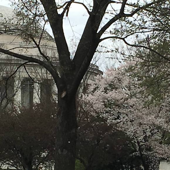 Meet your Posher, Angie