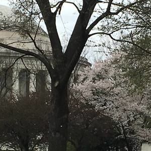 Meet your Posher, Angie