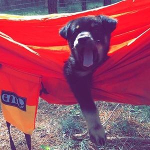 Meet your Posher, Meg