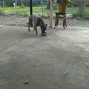 Meet your Posher, Donna