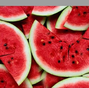 Meet your Posher, Bella