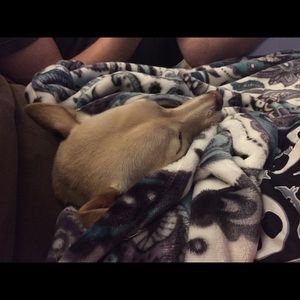 Meet your Posher, Jamie