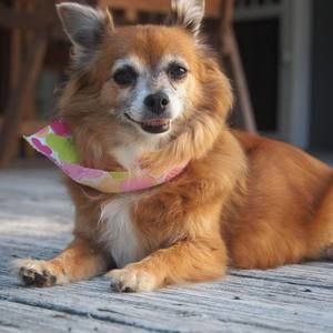 Meet your Posher, Cheryl