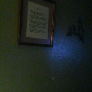 Meet your Posher, Marva