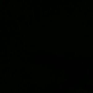 Meet your Posher, Blake