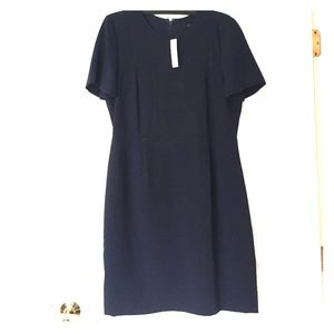 JCrew sheath dress