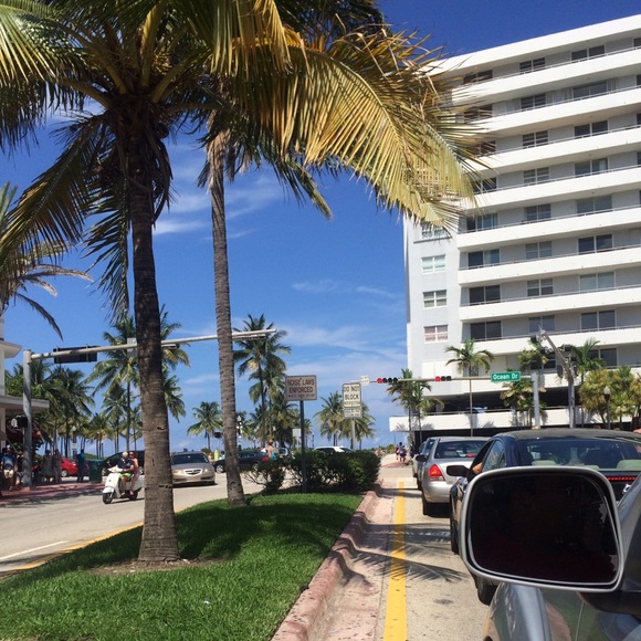 Meet your Posher, Anika - Picture 2 of 2