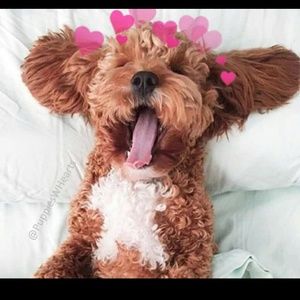 Meet your Posher, Chrysta