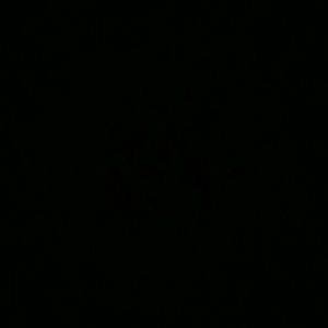 Meet your Posher, Claudia