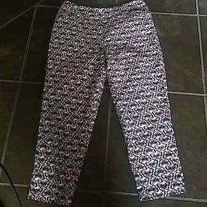 Talbots Ankle Pants Size 14