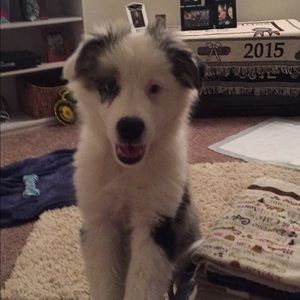 Meet your Posher, Adrienne