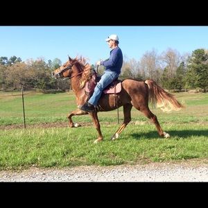 Meet your Posher, Beverly