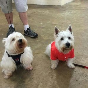 Meet your Posher, Leigh