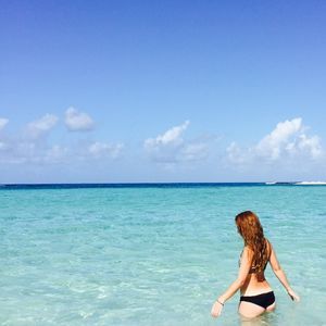 Meet your Posher, Katy