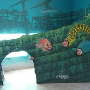 Meet your Posher, Maritza