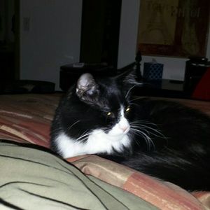 Meet your Posher, Kim