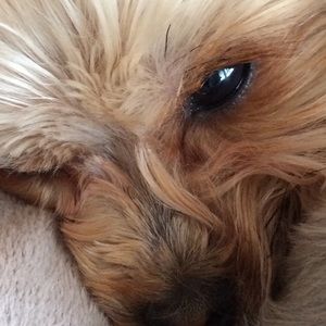 Meet your Posher, Vickie