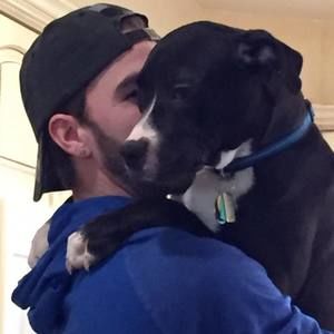 Meet your Posher, Joe