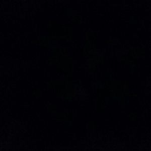 Meet your Posher, Monique