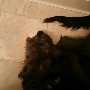 Meet your Posher, Lakeisha