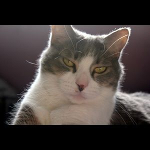 Meet your Posher, Leah