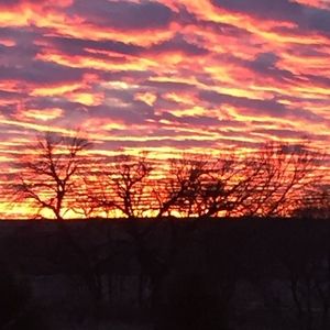 Meet your Posher, Arliss