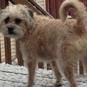 Meet your Posher, Anna