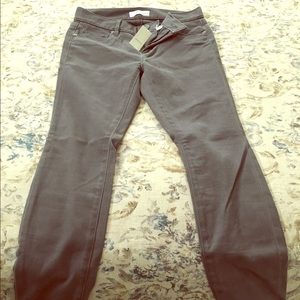Gray loft pants