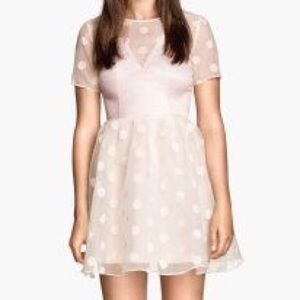 Blush Sheer Sweetheart Party Dress
